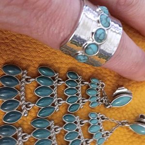 Well Loved Lia Sophia Turquoise Resin Gems Ring & Earrings Set